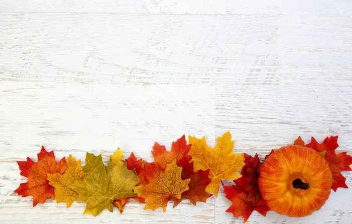 Thanksgiving Pumpkins And Food On A Wood Surface Background HD Images