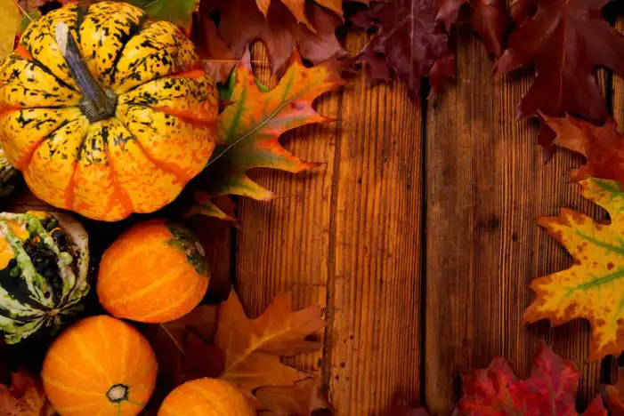 Thanksgiving Pumpkins And Food On A Wood Surface Background HD Images