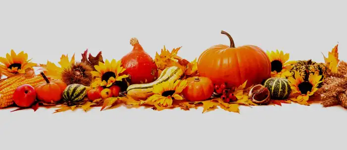 Thanksgiving Pumpkins On A Wood Surface Background HD Images