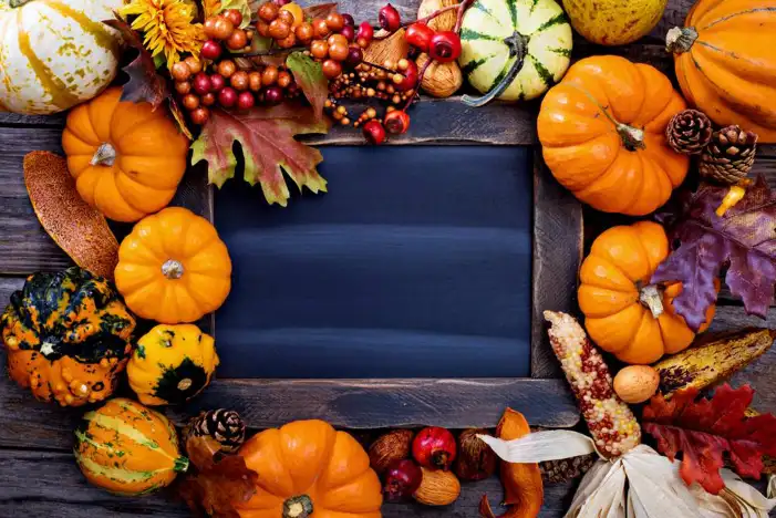 Thanksgiving Pumpkins On A Wood Surface Background HD Images