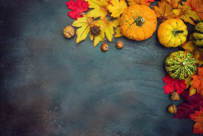 Thanksgiving Pumpkins On A Wood Surface Background HD Images