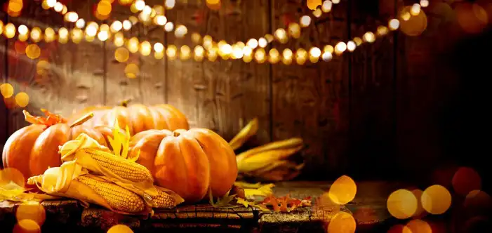 Thanksgiving Pumpkins On A Wood Surface Background HD Images