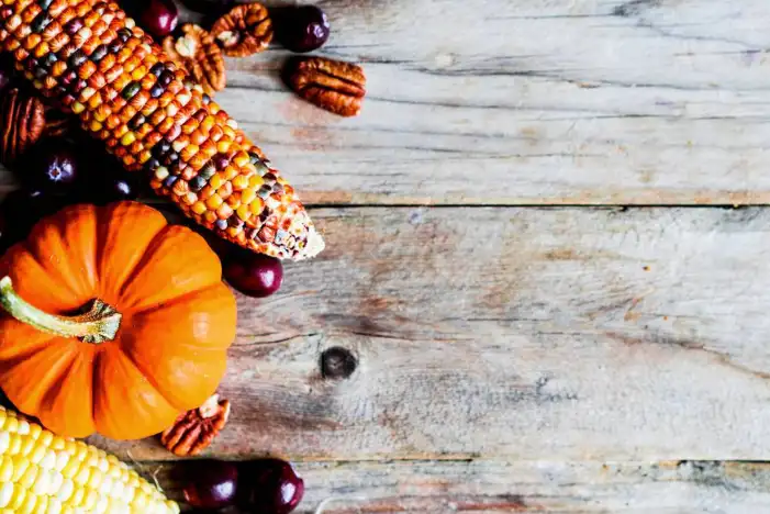 Thanksgiving Pumpkins On A Wood Surface Background HD Images