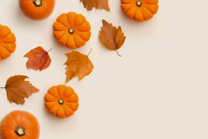 Thanksgiving Pumpkins On A Wood Surface Background HD Images