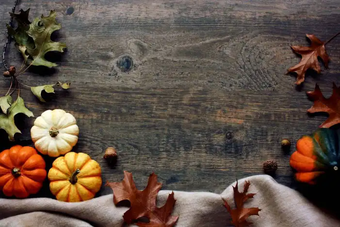 Thanksgiving Pumpkins On A Wood Surface Background HD Images