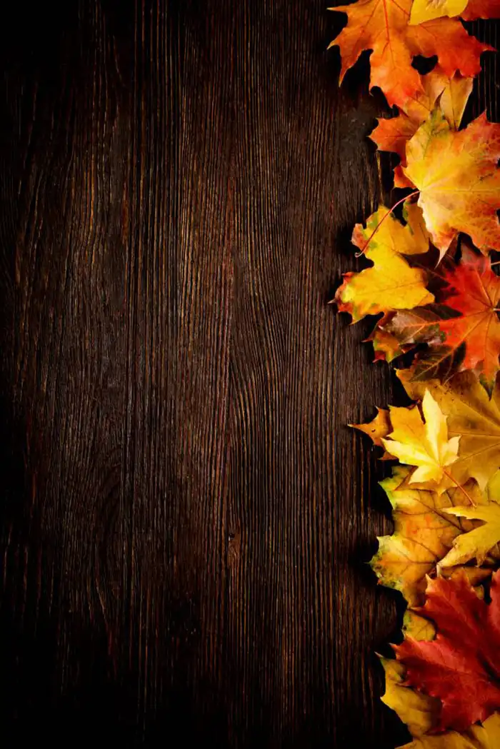 Thanksgiving Wood Phone Background HD Images