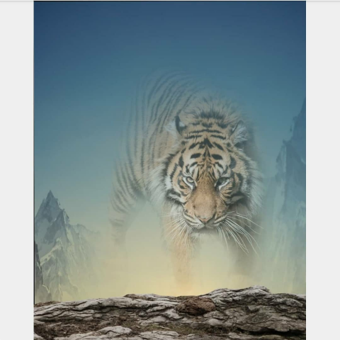 Tiger Editing CB Background