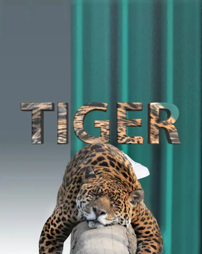 Tiger Sleeping PicsArt Editing Background Full HD Download