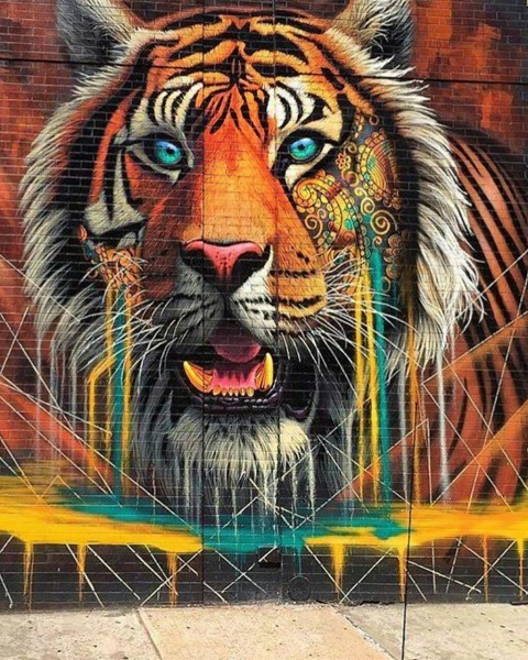 Tiger Wall PicsArt Editing Background Download Full HD