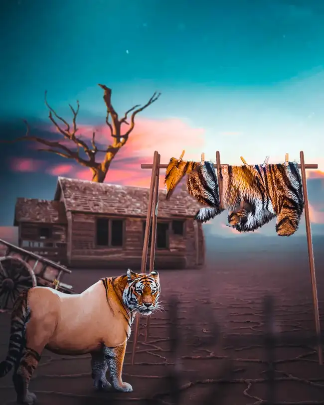 Tiger With House CB Edit Background HD