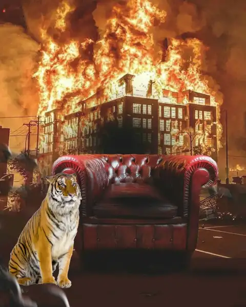 Tiger With Sofa CB Editing Background Full HD Download