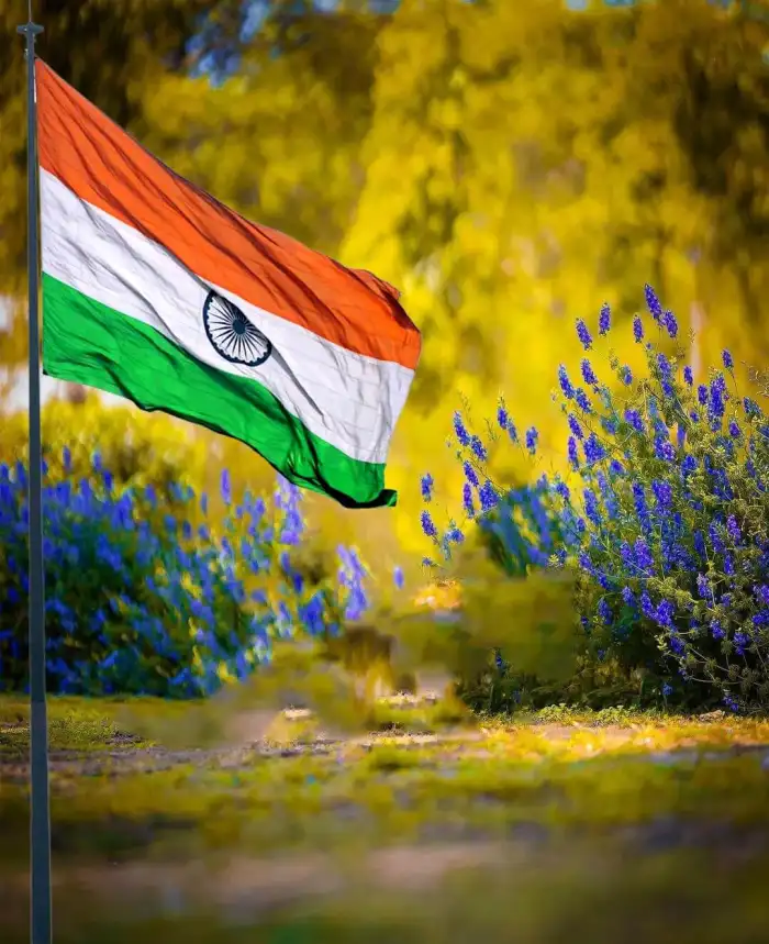 Tiranga Flag Independence Day 15 August Photo Editing Background 