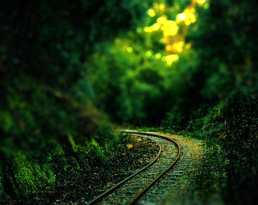 Track Forest Editing CB Picsart Background HD Download