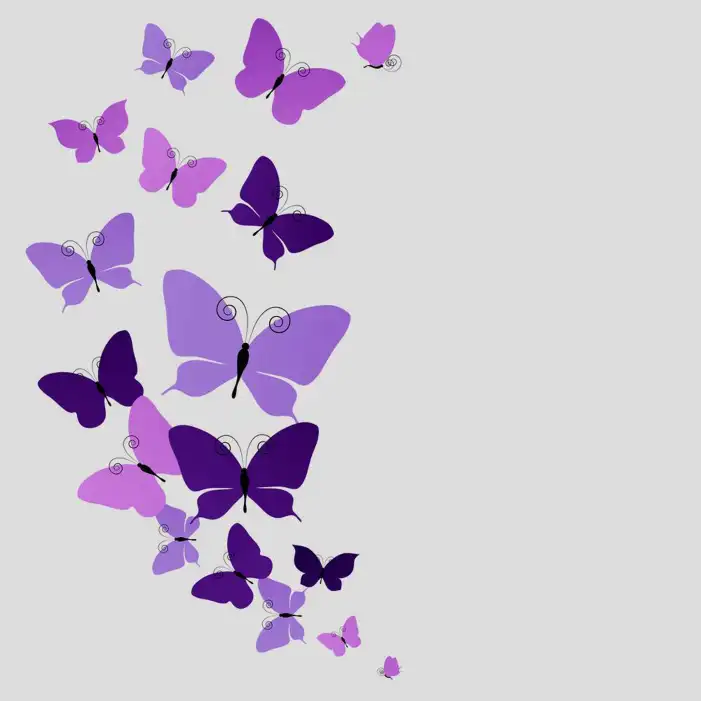 Transparent Butterfly Background HD Images