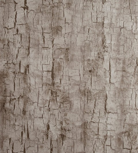 Tree Bark Texture HD Background