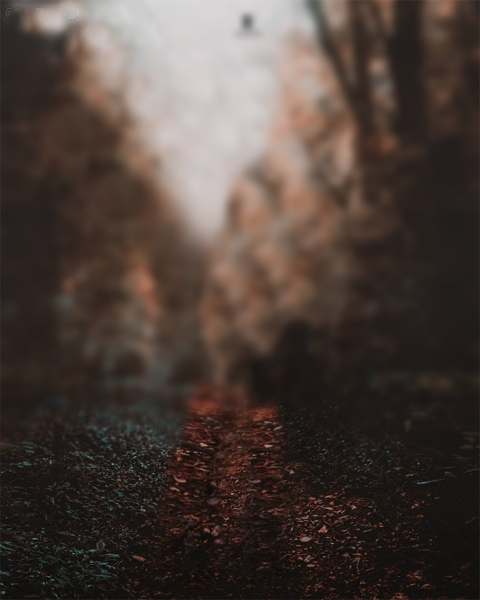 Tree Blur New CB Background HD