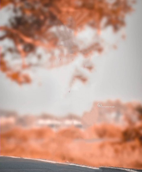 Tree Blurred PicsArt Editing Background HD