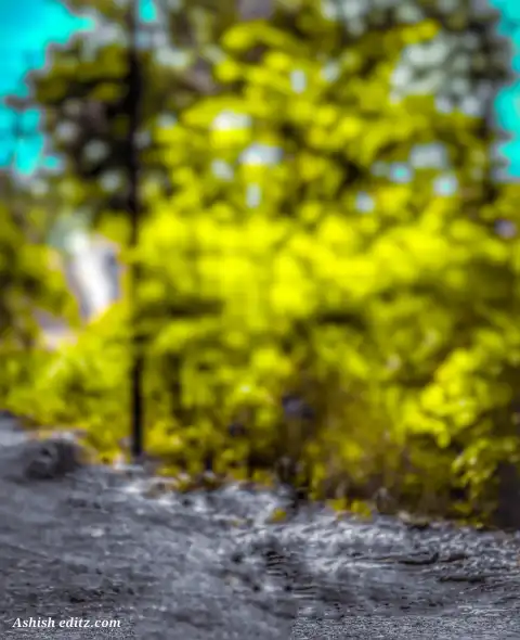 Tree Forest Blur Picsart CB Background Full HD Download