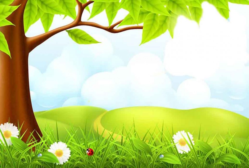 Tree PowerPoint PPT Background Photo