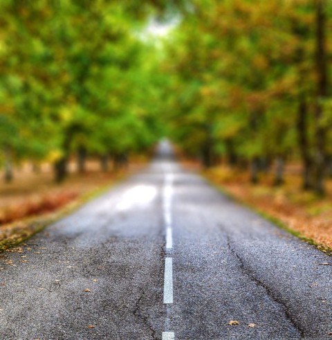 Tree Road CB Picsart Editing Background HD Download