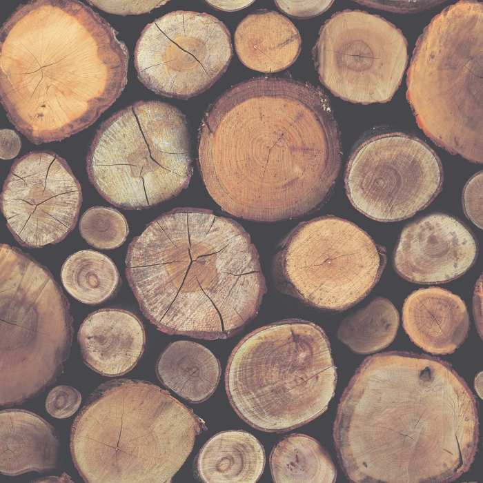 Tree Rustic Wood Background Free Download