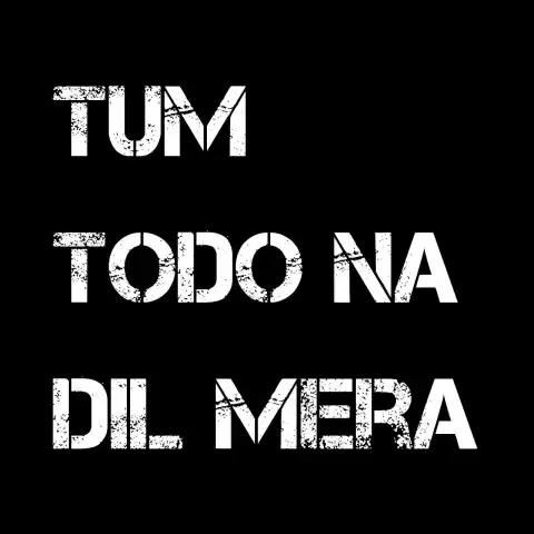 Tum Todo Na Dil Mera English Hindi Text PNG Images Download