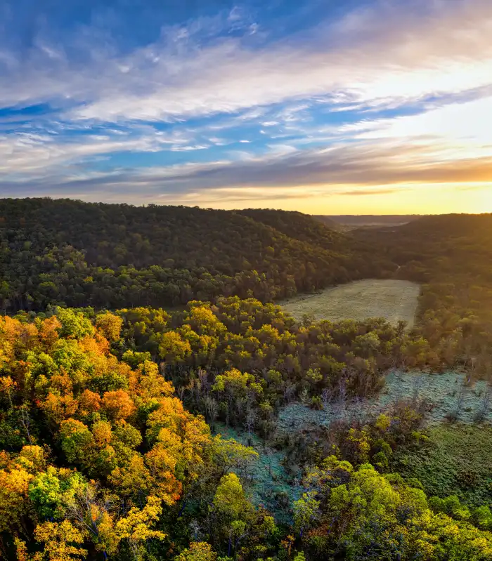 Urban Jungle Green Mountain Forest Background Free