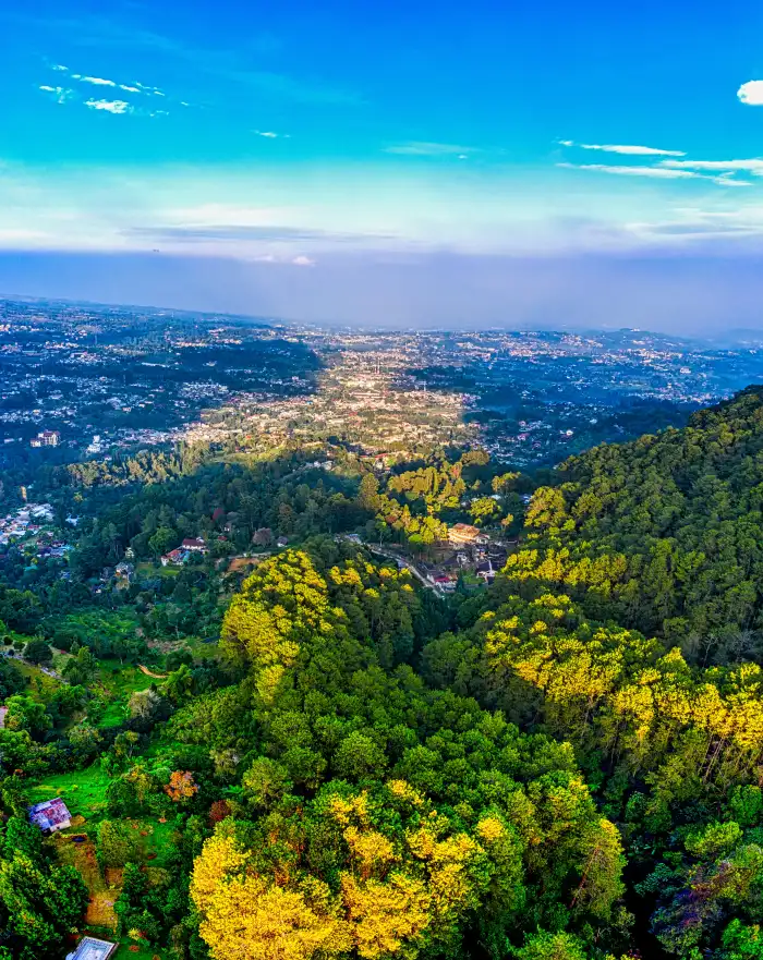 Urban Jungle Green Mountain Forest Background Free