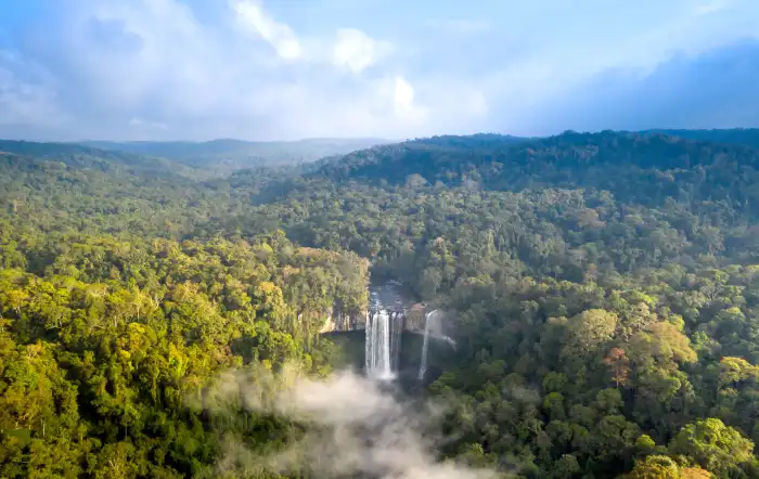 Urban Jungle Green Mountain Forest Background Free