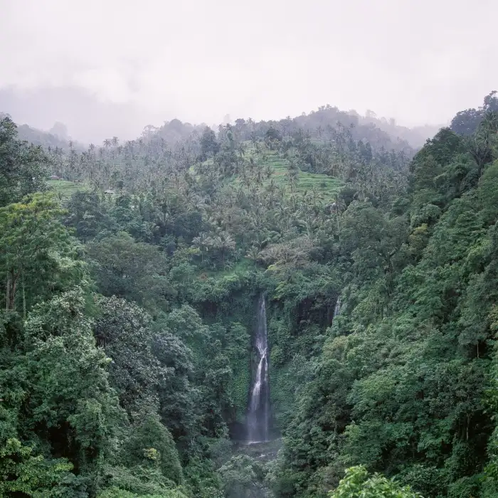 Urban Jungle Green Mountain Forest Background Free