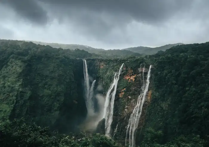 Urban Jungle Green Mountain Forest Background