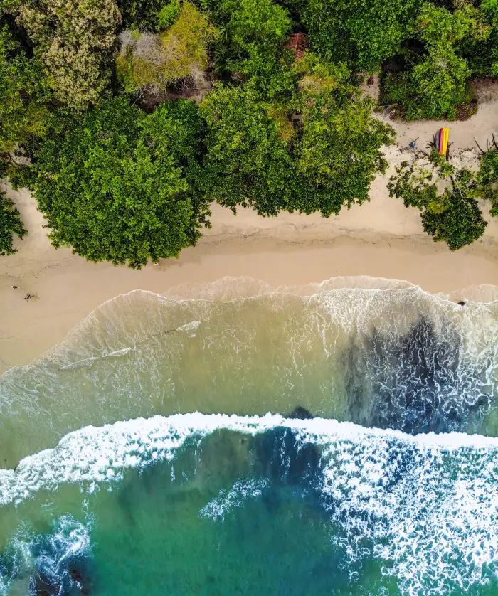 Urban Jungle Green Mountain Forest Beach Background