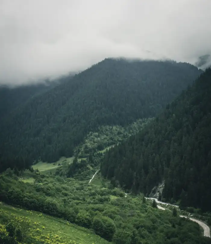 Urban Jungle Green Mountain Forest Blu Sky Background