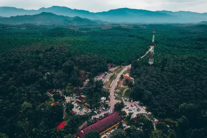 Urban Jungle Green Mountain Forest City View Background