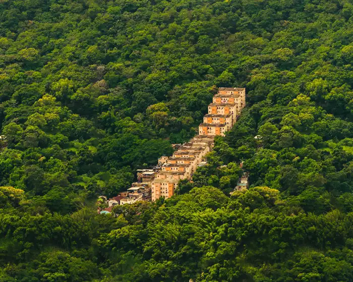 Urban Jungle Green Mountain Forest Image Background