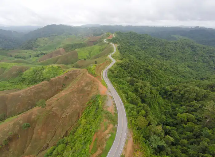 Urban Jungle Green Mountain Forest Road Background