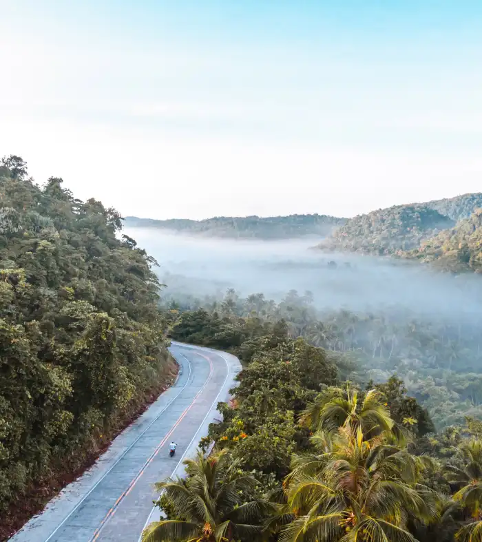 Urban Jungle Green Mountain Forest Road Background