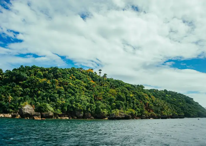 Urban Jungle Green Mountain Forest Sea Background