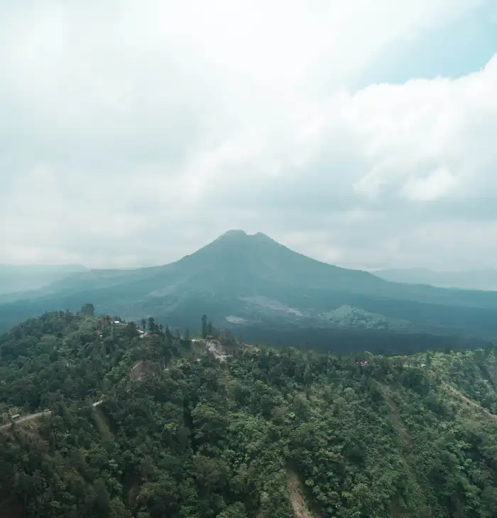 Urban Jungle Green Mountain Forest Sky Background