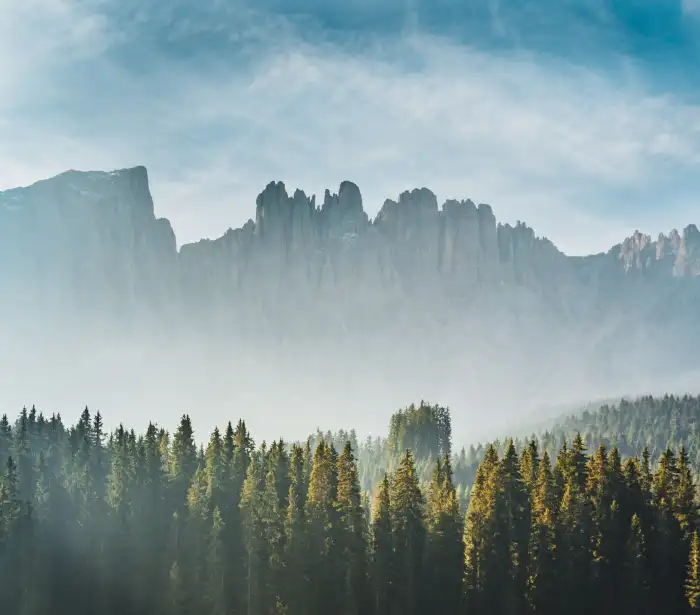 Urban Jungle Green Mountain Forest Sky Blue Background