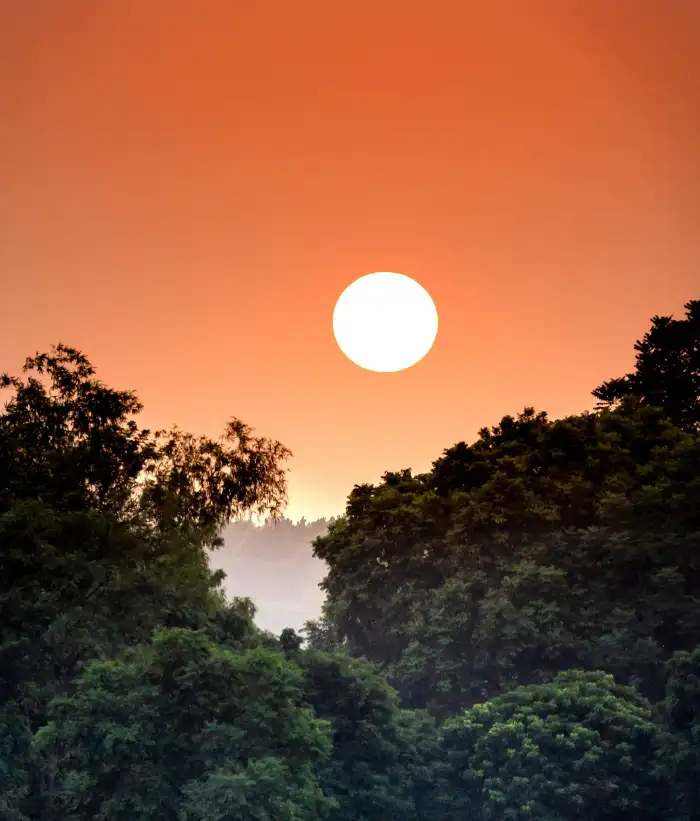 Urban Jungle Green Mountain Forest Sun In Sky Background