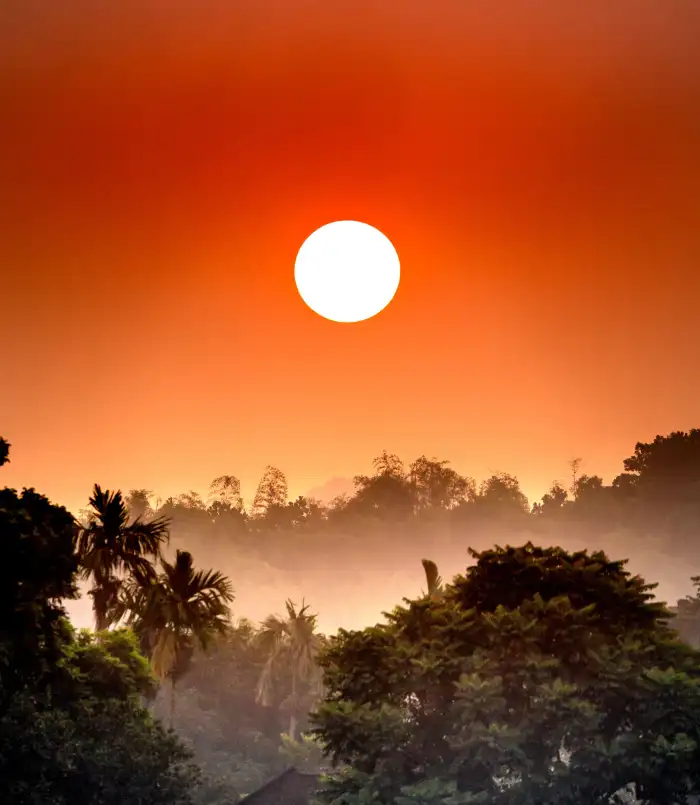 Urban Jungle Green Mountain Forest Sun In Sky Background