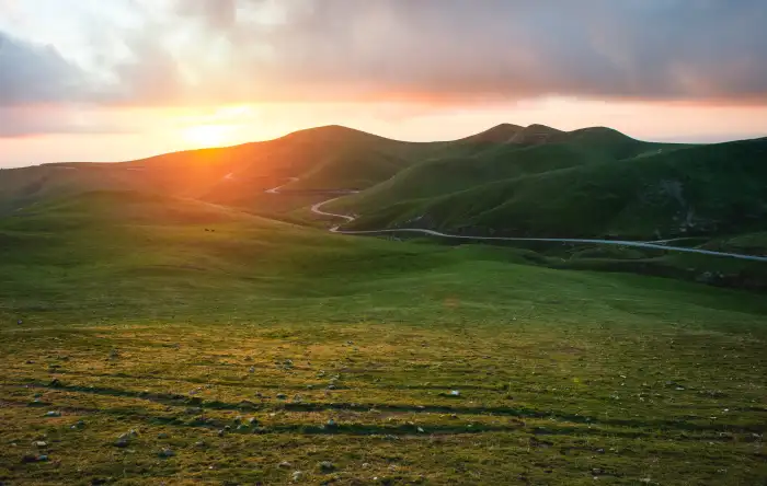 Urban Jungle Green Mountain Forest Sun Sunset Background