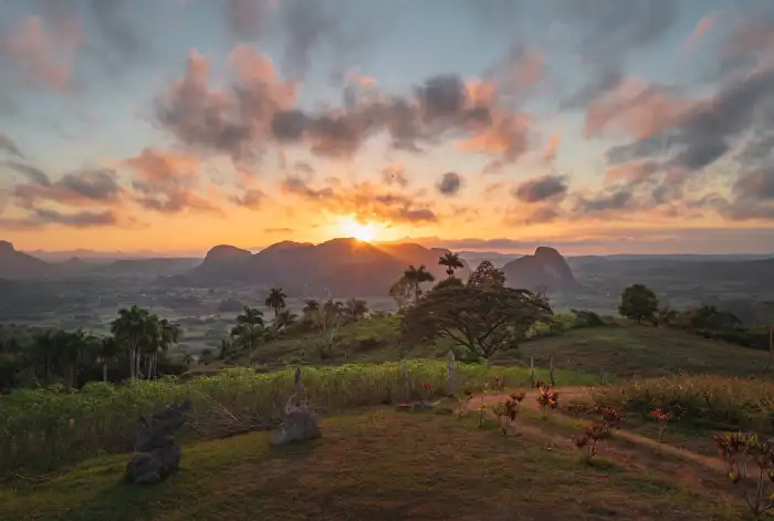 Urban Jungle Green Mountain Forest Sunset Sky Background Free