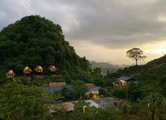 Urban Jungle Green Mountain Forest Village Background