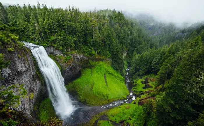 Urban Jungle Green Mountain Forest Waterfall Background Free