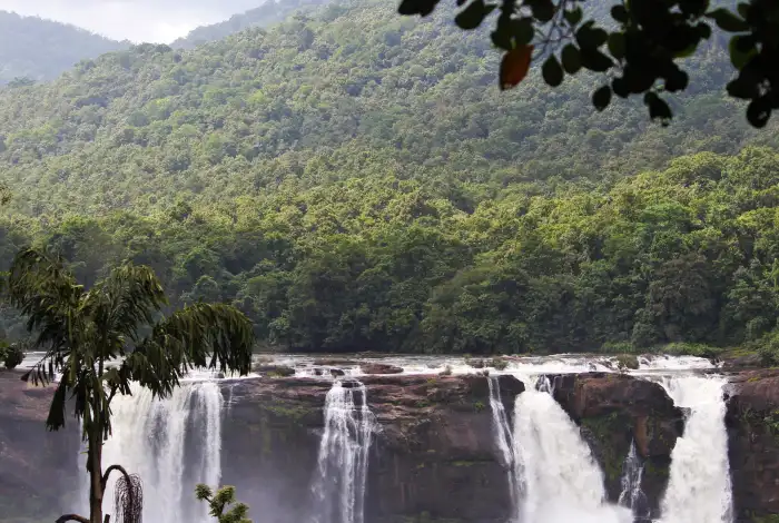 Urban Jungle Green Mountain Forest Waterfall HD Background