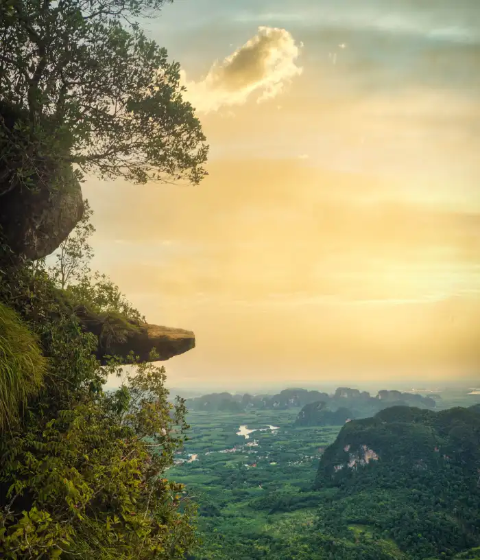 Urban Jungle Green Mountain Forest Yellow Sky Background