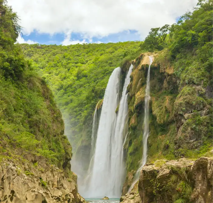 Urban Jungle Green Mountain Waterfall Background Free