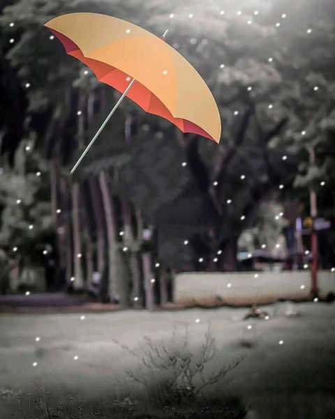 Vijay Mahar Umbrella Background